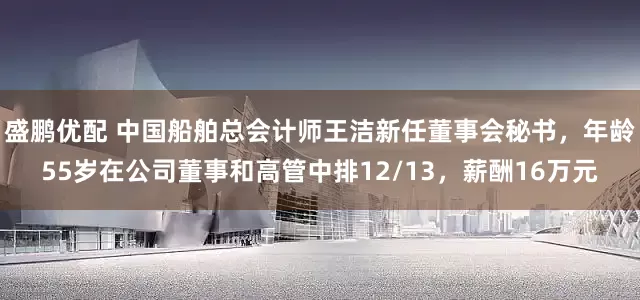 盛鹏优配 中国船舶总会计师王洁新任董事会秘书，年龄55岁在公司董事和高管中排12/13，薪酬16万元