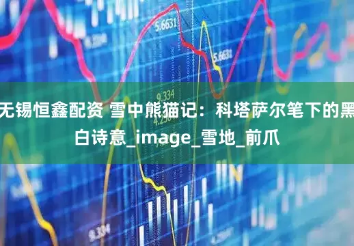 无锡恒鑫配资 雪中熊猫记：科塔萨尔笔下的黑白诗意_image_雪地_前爪
