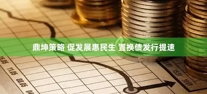 鼎坤策略 促发展惠民生 置换债发行提速