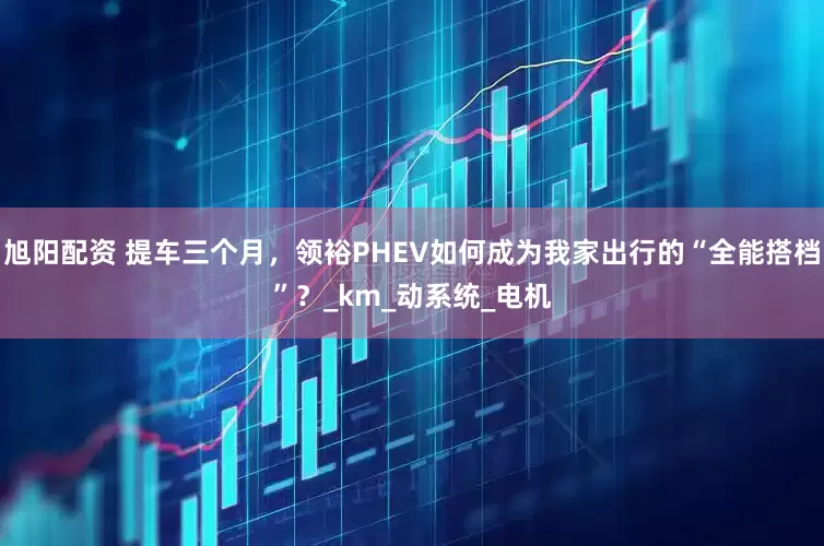 旭阳配资 提车三个月，领裕PHEV如何成为我家出行的“全能搭档”？_km_动系统_电机