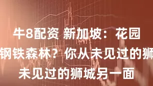 牛8配资 新加坡：花园城市还是钢铁森林？你从未见过的狮城另一面