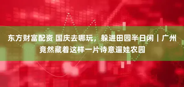 东方财富配资 国庆去哪玩,躲进田园半日闲|广州竟然藏着这样一片诗意遛娃农园