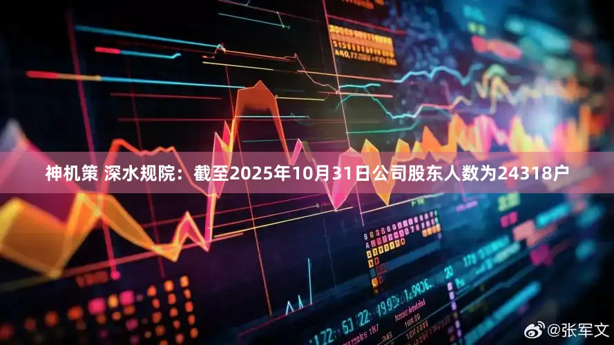 神机策 深水规院：截至2025年10月31日公司股东人数为24318户
