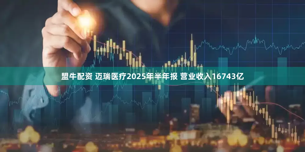 盟牛配资 迈瑞医疗2025年半年报 营业收入16743亿
